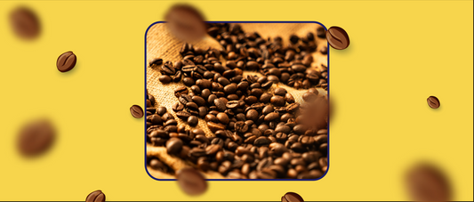 Mastering Coffee Bean Storage: How To Keep Your Beans Fresh