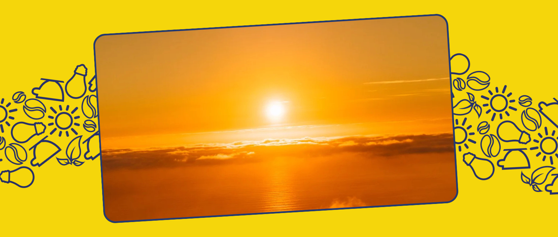 Chasing the Golden Hour: Summer in Every Sip